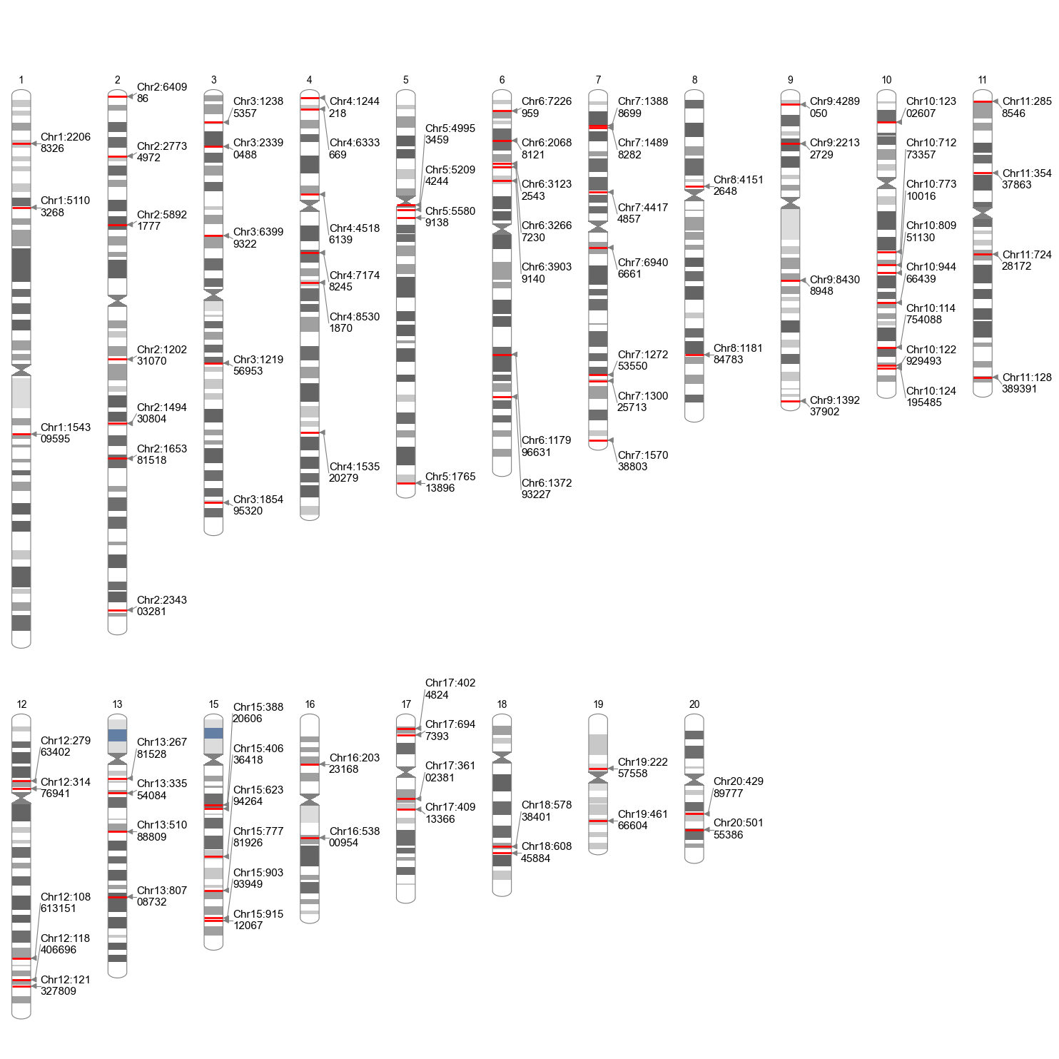Output image